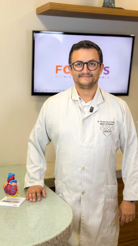 cardiologista para cães