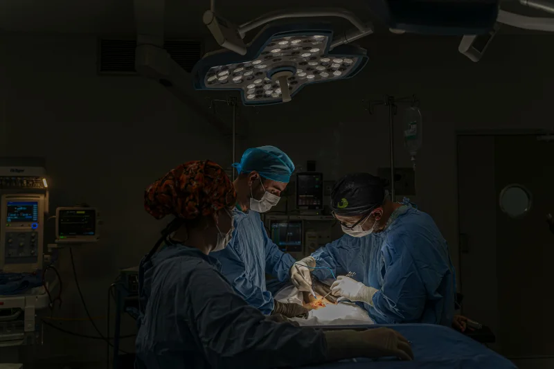 centro de neurocirurgia veterinária