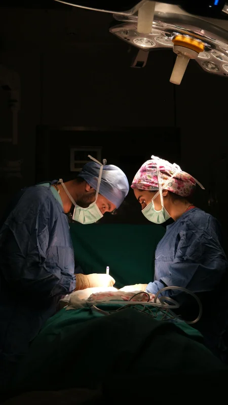 cirurgia oncológica veterinária
