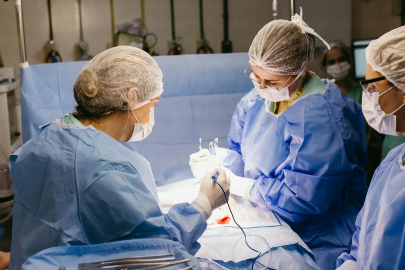 cirurgia para pets