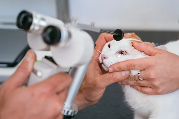 oftalmologista veterinário