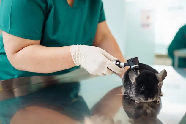 otoendoscopia veterinária
