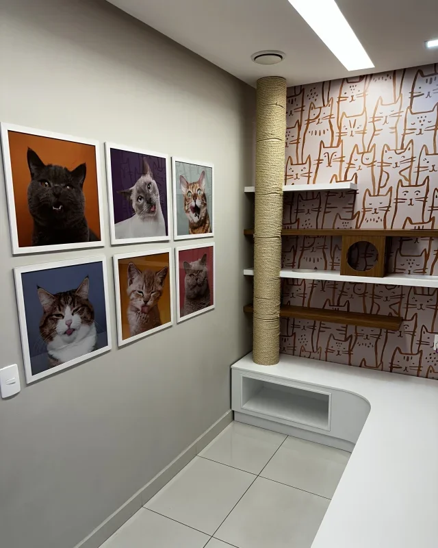 Recepção para gatos