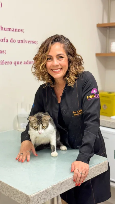 Atendimento gato 03