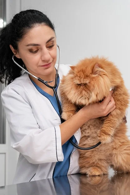 Cardiologia Veterinária
