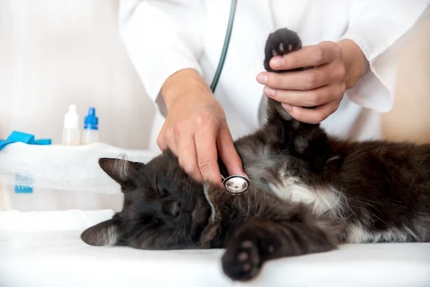 Cardiologia Veterinária