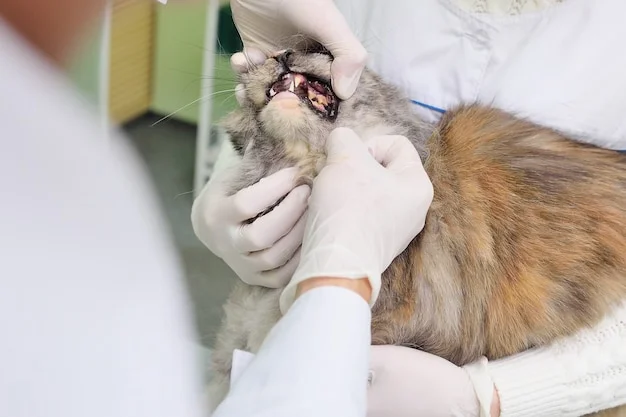 Odontologia Veterinária