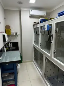 Internação Veterinária