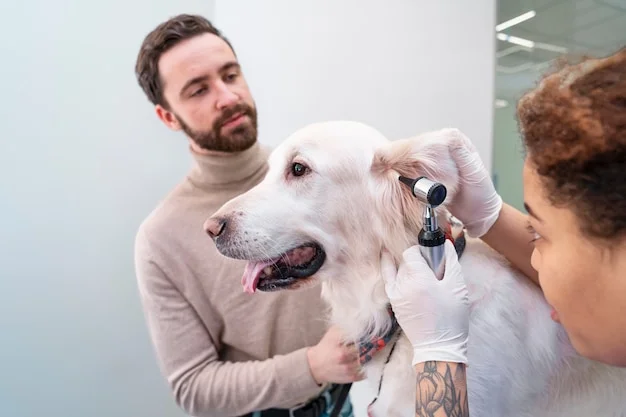 serviço de dermatologia veterinária